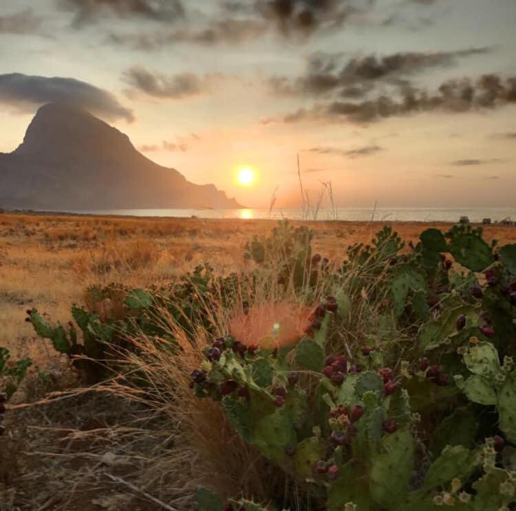 Appartamento I Tramonti Di Cofano Кастеллуццо Экстерьер фото